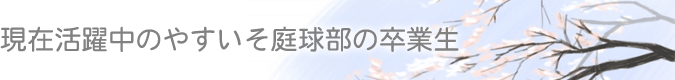 現在活躍中のやすいそ庭球部の卒業生